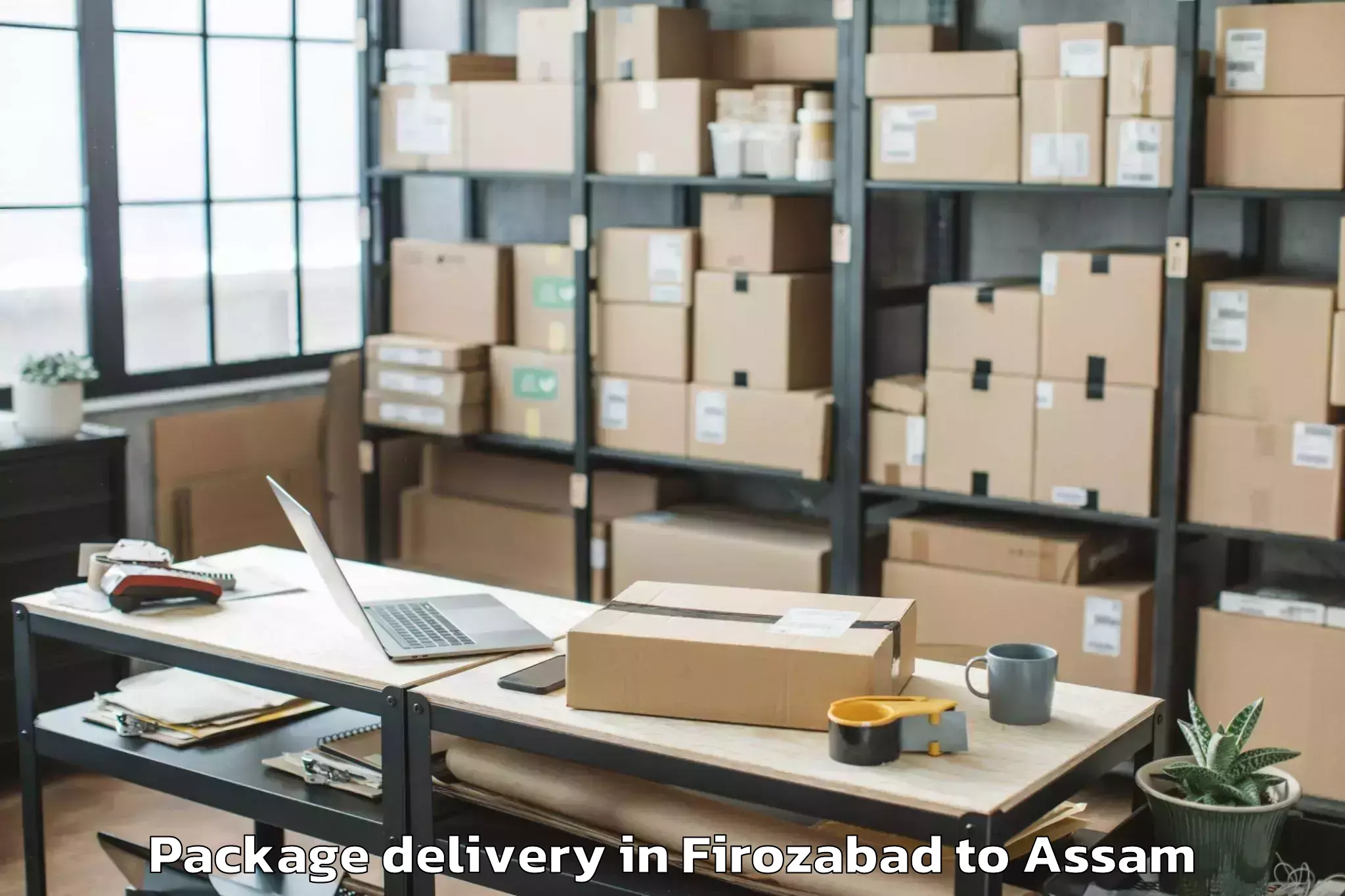 Professional Firozabad to Gossaigaon Pt Package Delivery